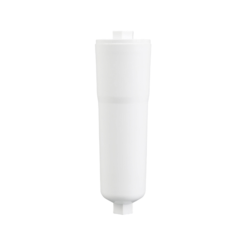 RF-21 AP717 Refrigerator Water Purifier Filter
